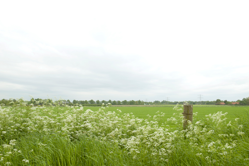 Viduro Marketing & Communicatie