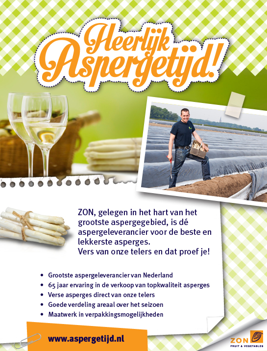 141104 Zon Aspergetijd banner magazineAurora DEF